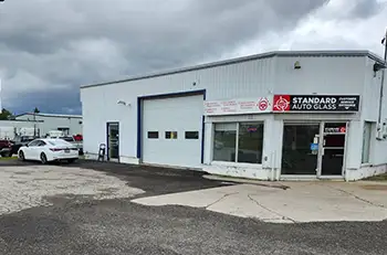 standard auto glass exeter